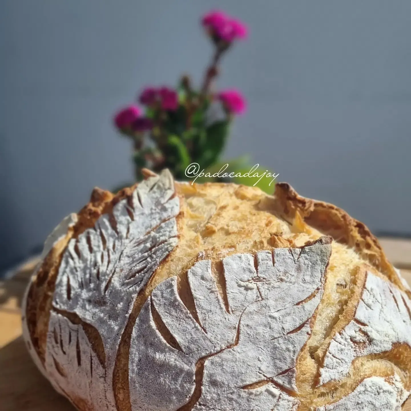 Sourdough 100% integral com scoring de folhas na casca