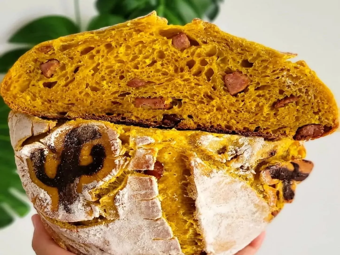 Sourdough do Sertão da Padoca da Joy, com miolo amarelado e textura única, inspirado nos sabores do nordeste brasileiro